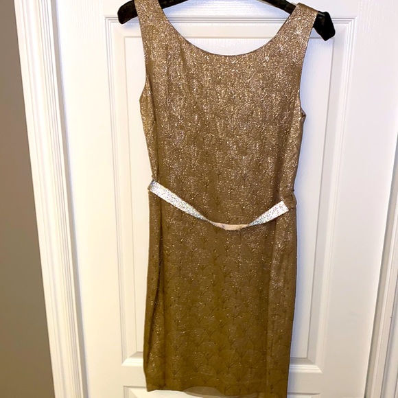 🔥🔥PORTS 1961| Taupe & Metallic Silver Dress -Sz 6 - Picture 7 of 15